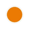 A solid orange circle is centered on a plain white background.